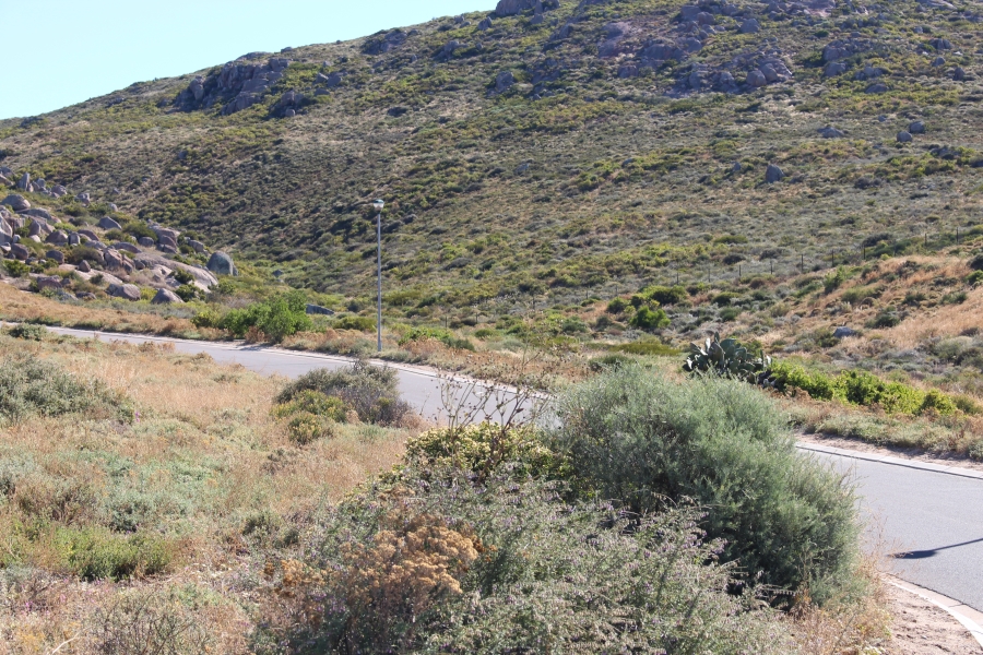 0 Bedroom Property for Sale in Steenbergs Cove Western Cape